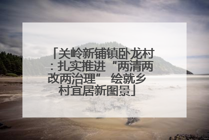 关岭新铺镇卧龙村：扎实推进“两清两改两治理” 绘就乡村宜居新图景