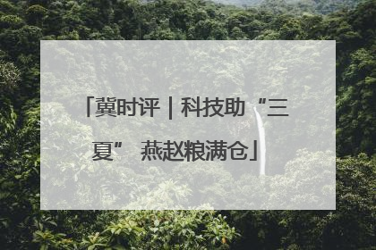 冀时评｜科技助“三夏” 燕赵粮满仓