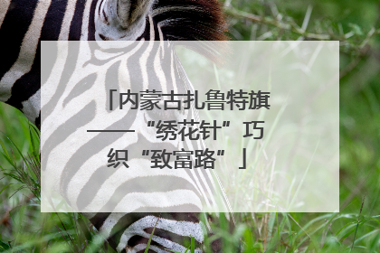 内蒙古扎鲁特旗——“绣花针”巧织“致富路”