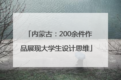 内蒙古：200余件作品展现大学生设计思维