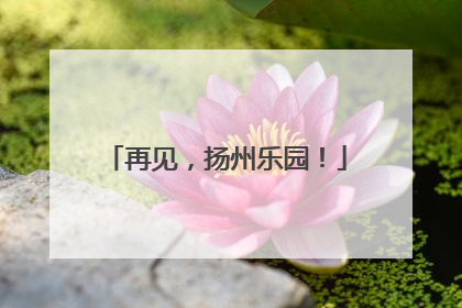 再见，扬州乐园！
