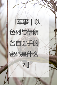 军事｜以色列与伊朗各自罢手的密码是什么？
