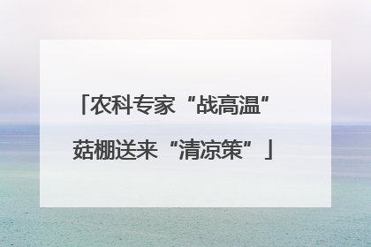 农科专家“战高温” 菇棚送来“清凉策”
