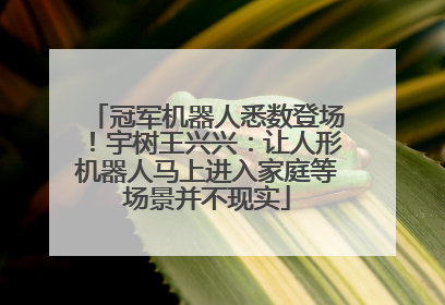 冠军机器人悉数登场！宇树王兴兴：让人形机器人马上进入家庭等场景并不现实