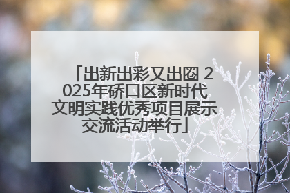 出新出彩又出圈 2025年硚口区新时代文明实践优秀项目展示交流活动举行
