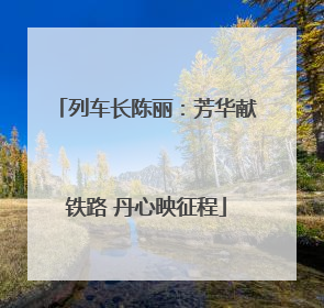 列车长陈丽：芳华献铁路 丹心映征程