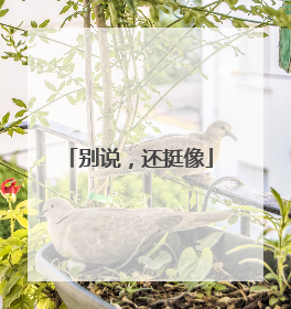 别说，还挺像