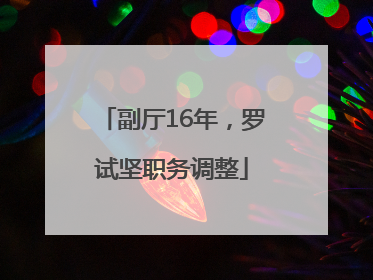 副厅16年，罗试坚职务调整