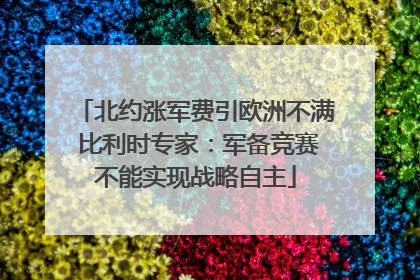 北约涨军费引欧洲不满 比利时专家：军备竞赛不能实现战略自主