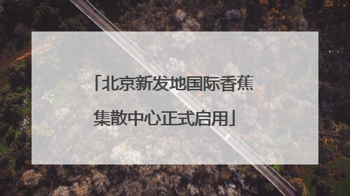 北京新发地国际香蕉集散中心正式启用