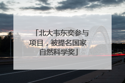 北大韦东奕参与项目，被提名国家自然科学奖