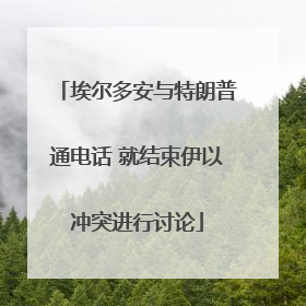 埃尔多安与特朗普通电话 就结束伊以冲突进行讨论