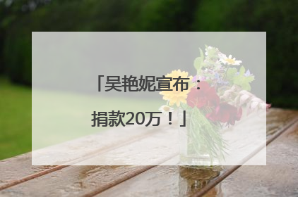 吴艳妮宣布：捐款20万！