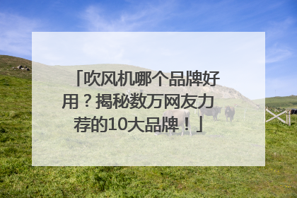 吹风机哪个品牌好用？揭秘数万网友力荐的10大品牌！