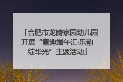 合肥市龙腾家园幼儿园开展“童趣端午汇·乐韵绽华光”主题活动