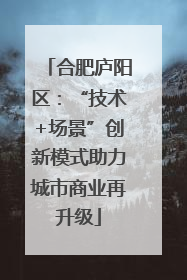 合肥庐阳区：“技术+场景”创新模式助力城市商业再升级