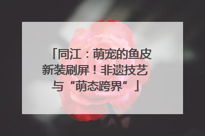 同江：萌宠的鱼皮新装刷屏！非遗技艺与“萌态跨界”