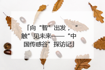 向“智”出发，“触”见未来——“中国传感谷”探访记