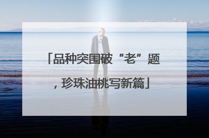 品种突围破“老”题，珍珠油桃写新篇