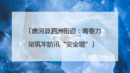 唐河县泗洲街道：青春力量筑牢防汛“安全堤”