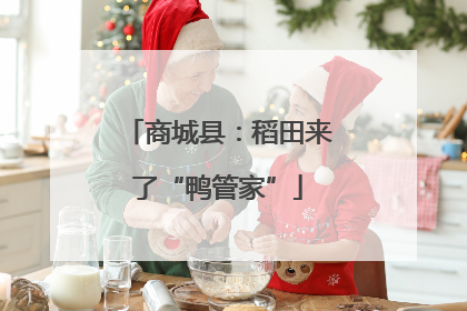 商城县：稻田来了“鸭管家”