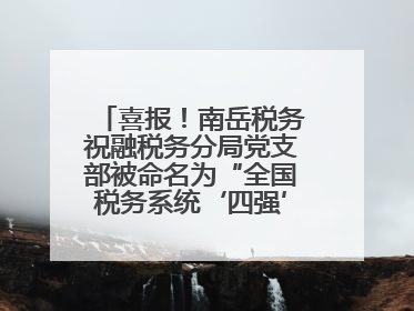 喜报！南岳税务祝融税务分局党支部被命名为“全国税务系统‘四强’党支部”