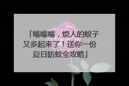 嗡嗡嗡，烦人的蚊子又多起来了！送你一份夏日防蚊全攻略