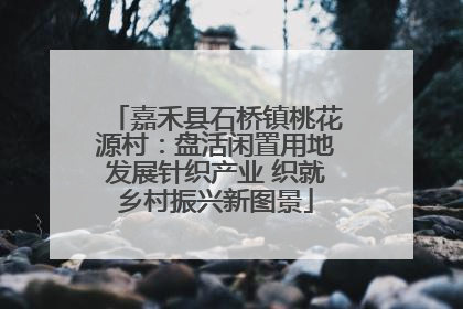 嘉禾县石桥镇桃花源村：盘活闲置用地发展针织产业 织就乡村振兴新图景