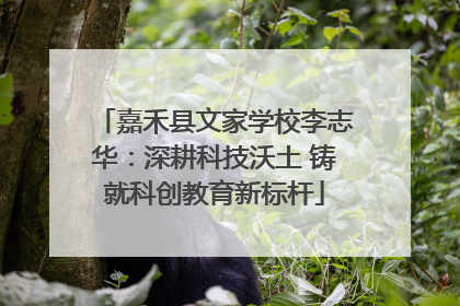 嘉禾县文家学校李志华：深耕科技沃土 铸就科创教育新标杆