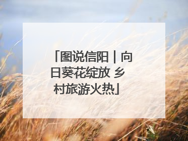 图说信阳｜向日葵花绽放 乡村旅游火热