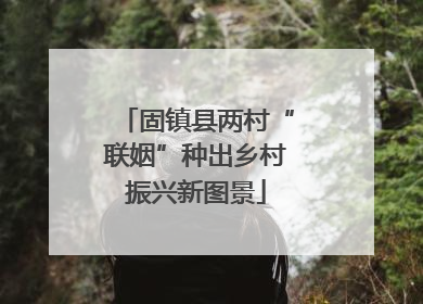 固镇县两村“联姻”种出乡村振兴新图景