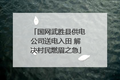 国网武胜县供电公司送电入田 解决村民燃眉之急