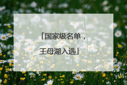 国家级名单，王母湖入选