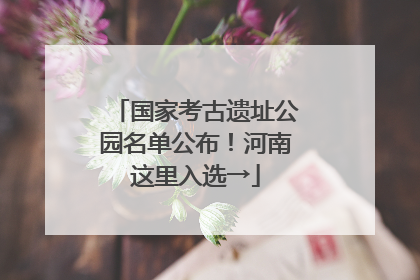 国家考古遗址公园名单公布！河南这里入选→