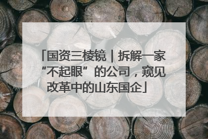 国资三棱镜｜拆解一家“不起眼”的公司，窥见改革中的山东国企