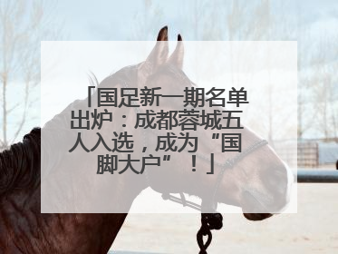 国足新一期名单出炉：成都蓉城五人入选，成为“国脚大户”！