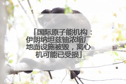 国际原子能机构：伊朗纳坦兹铀浓缩厂地面设施被毁，离心机可能已受损