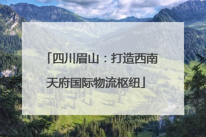 四川眉山：打造西南天府国际物流枢纽