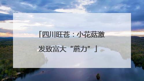 四川旺苍：小花菇激发致富大“蘑力”