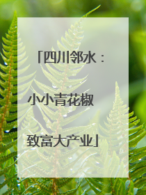 四川邻水：小小青花椒 致富大产业