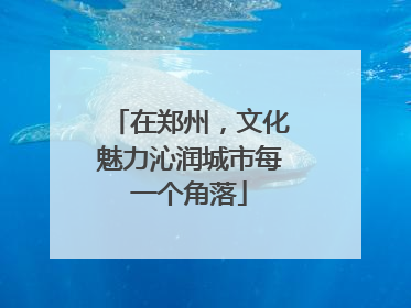 在郑州，文化魅力沁润城市每一个角落
