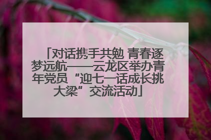 对话携手共勉 青春逐梦远航——云龙区举办青年党员“迎七一话成长挑大梁”交流活动