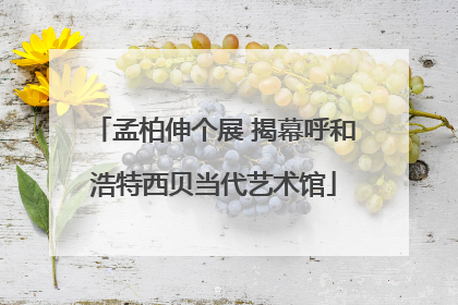 孟柏伸个展 揭幕呼和浩特西贝当代艺术馆
