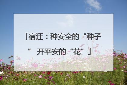 宿迁：种安全的“种子” 开平安的“花”