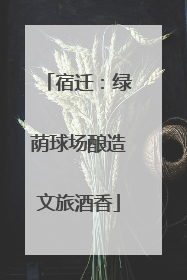 宿迁：绿荫球场酿造文旅酒香