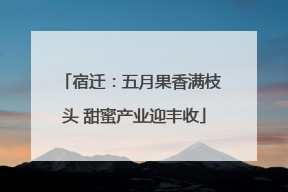 宿迁：五月果香满枝头 甜蜜产业迎丰收