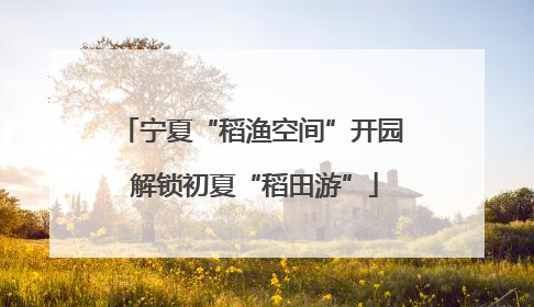 宁夏“稻渔空间”开园 解锁初夏“稻田游”