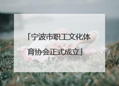 宁波市职工文化体育协会正式成立