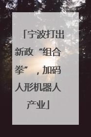 宁波打出新政“组合拳”，加码人形机器人产业