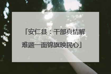 安仁县：干部真情解难题一面锦旗映民心